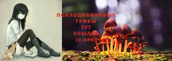 дживик Алексин