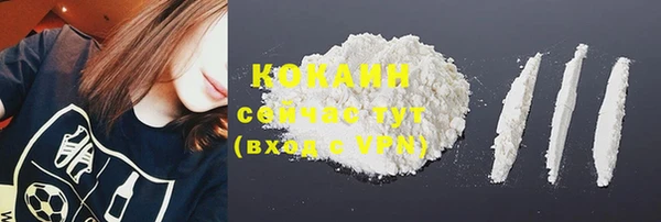 гидропоника Лагань