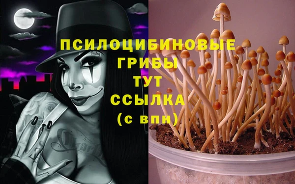 спайс Алзамай