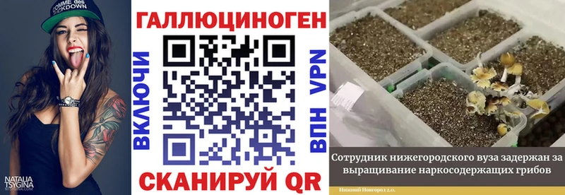 Псилоцибиновые грибы Magic Shrooms  ссылка на мегу ссылка  Беслан  хочу  