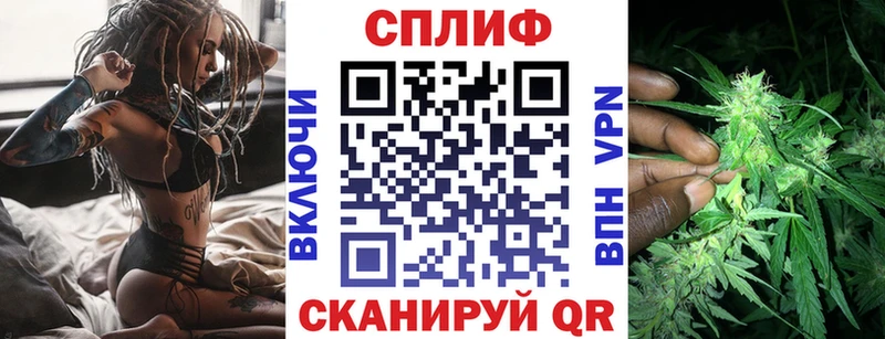 omg как войти  Беслан  Марихуана гибрид 